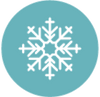 Frozen Icon